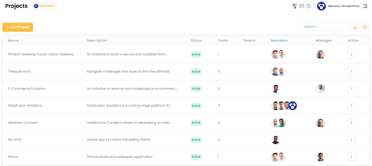 Company projects list